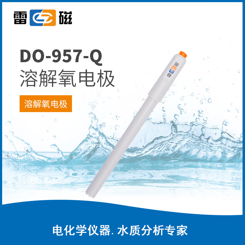 溶解氧电极