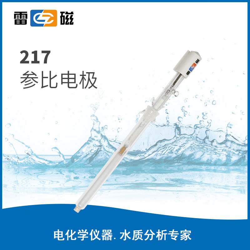 参比电极