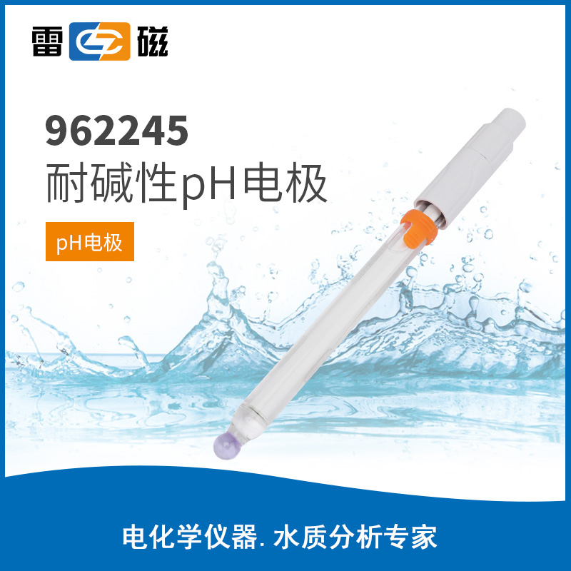 耐碱性 pH 电极
