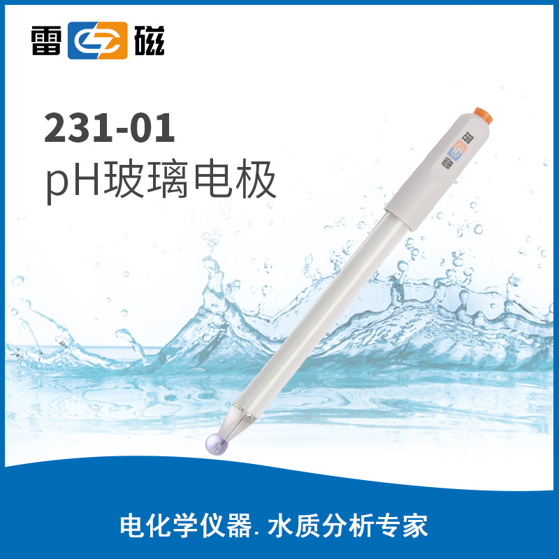 pH 玻璃电极