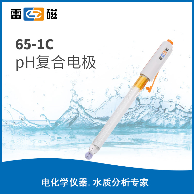 pH 复合电极