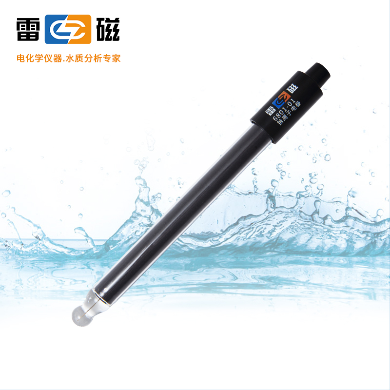 钠离子电极